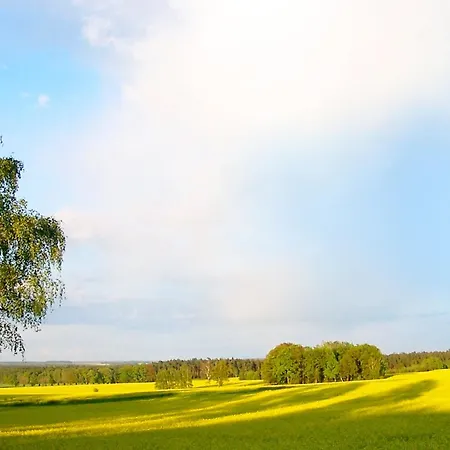 Lejlighed Alte Fischfabrik 07 Relaxen In Lauterbach *